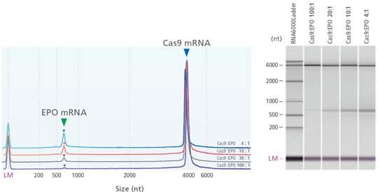 multiNA II MCE-301 Shimadzu