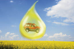 biofuels