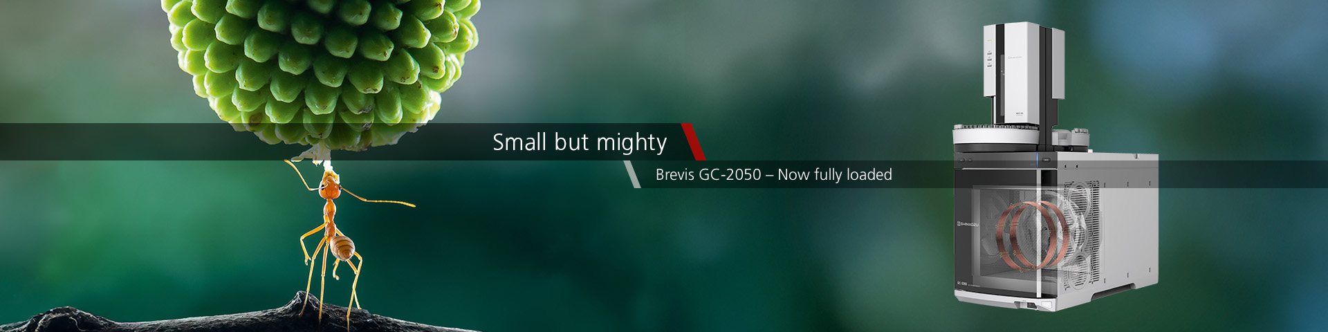 Brevis™ GC-2050 