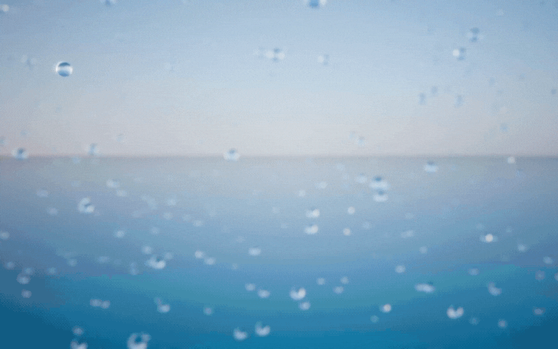 gif spotlight