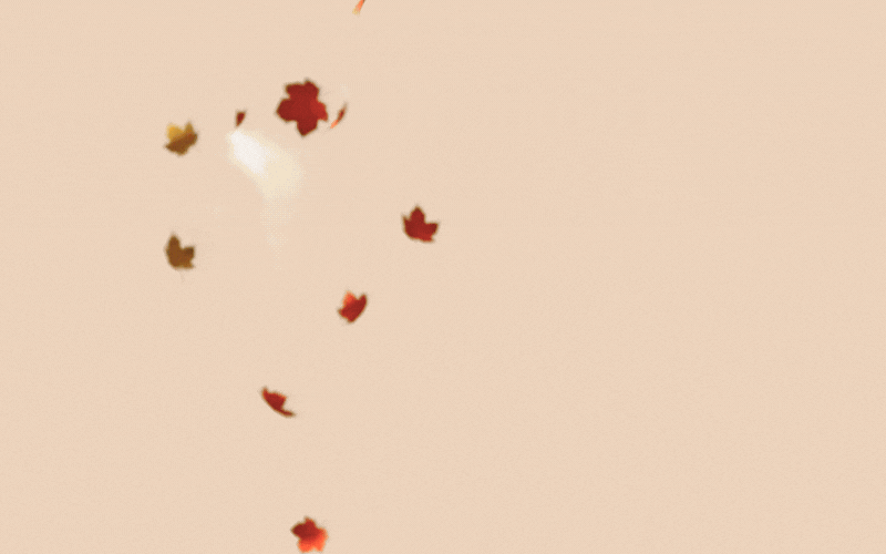 Promo Consumabili - Autumn Edition
