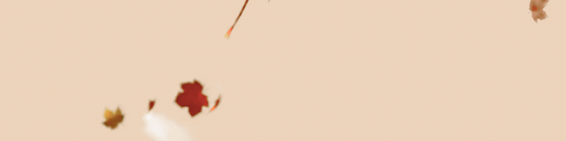 banner consumabili autunno