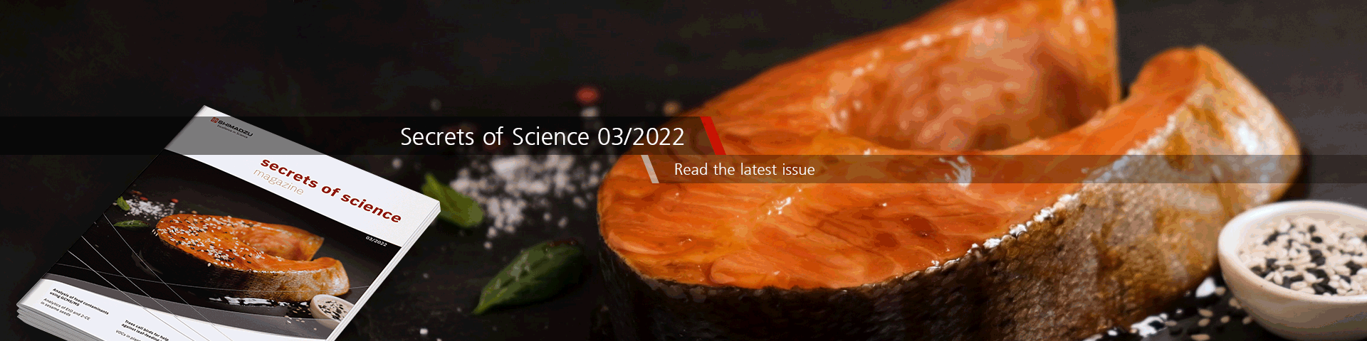 Header - Secrets of Science 2022 